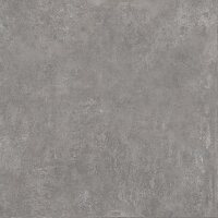 Плитка облицовочная Kerama Marazzi Геркуланум серый 4601 50.2х50.2, м2