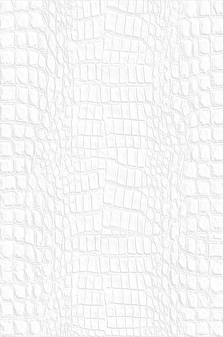 Плитка облицовочная Kerama Marazzi Верньеро белый 8240 30х20, м2